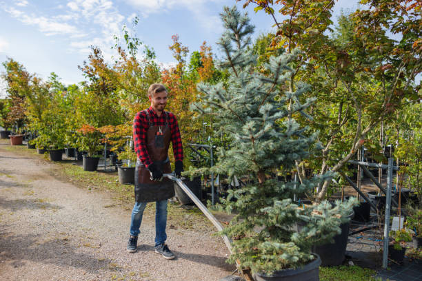 Best Lawn Fertilization  in Sheridan, WY